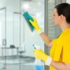 Set za cišcenje stakla, ogledala i glatkih površina Clean Glass