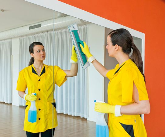 Set za cišcenje stakla, ogledala i glatkih površina Clean Glass